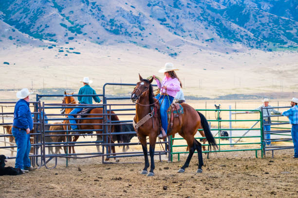 istock Branding Day at A Utah Ranch 903654598