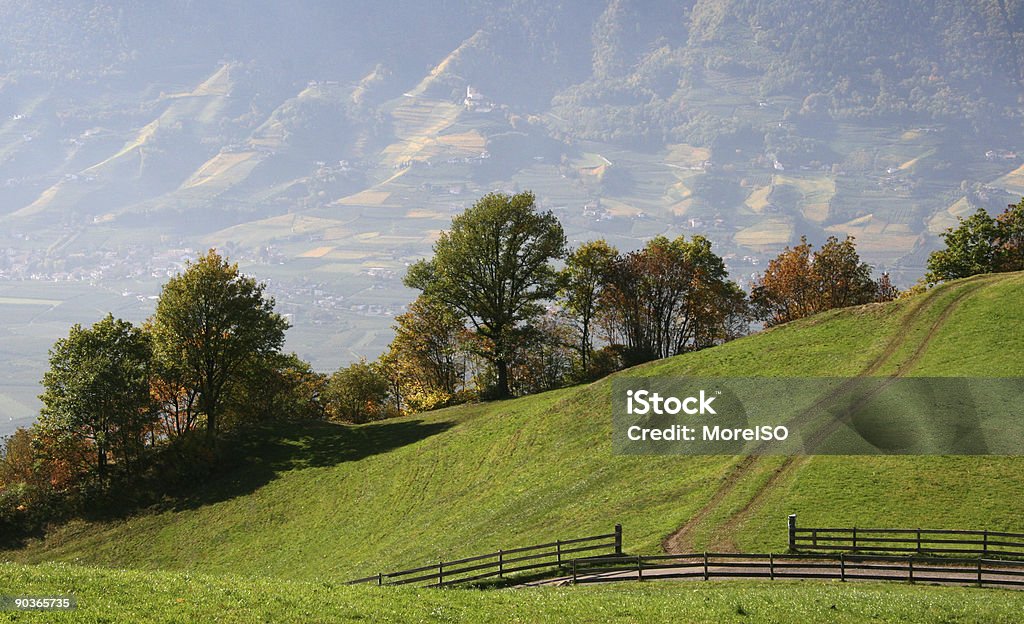 Pasto nos Alpes Ninguém - Royalty-free Ajardinado Foto de stock
