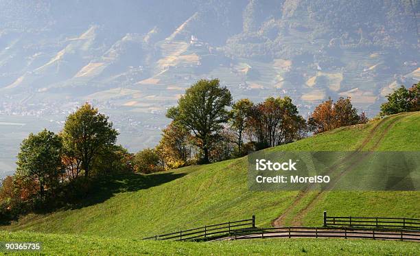 Pasto Nos Alpes Ninguém - Fotografias de stock e mais imagens de Ajardinado - Ajardinado, Alto Adige, Ao Ar Livre
