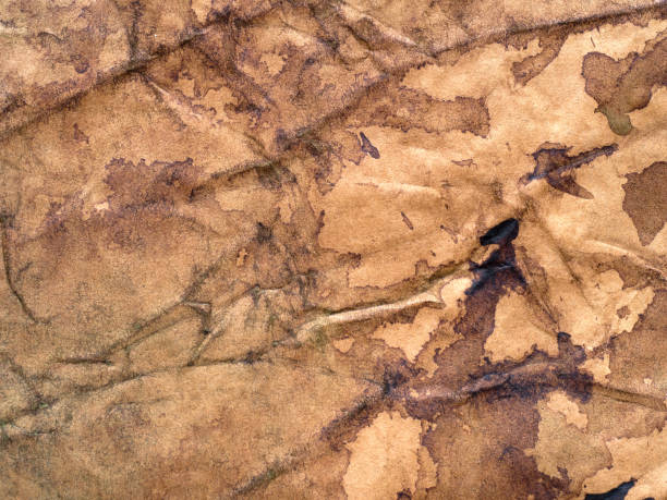 istock Grunge brown paper stained background. 903662332