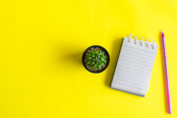 istock Notepad with pencil and cactus in a pot on wood background.using wallpaper for education, business photo.Take note of the product for book with paper and concept, object or copy space 903665960