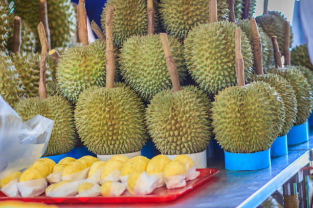 organiczne owoce durian i durian mięso pakowane na sprzedaż w or tor kor market, jeden ze świeżych na świecie rynku, który znajduje się w pobliżu chatuchak weekend rynku w bangkoku. - or tor kor market zdjęcia i obrazy z banku zdjęć