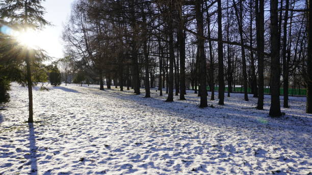 istock Winter in Russia Moscow 903666910