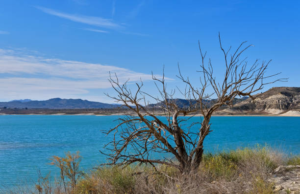 la pedrera reservoir in orihuela. spain - la pedrera imagens e fotografias de stock