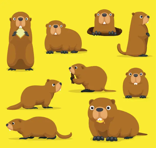 Vector illustration of Groundhog Chuck Woodchuck Groundpig Whistlepig Cute Cartoon Vector Illustration