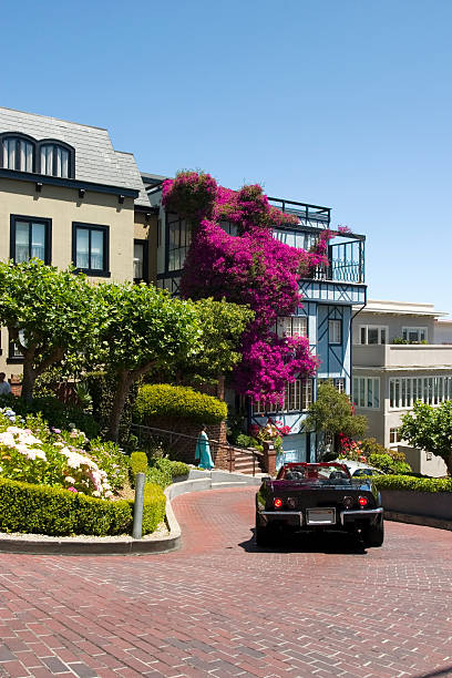 istock Lombard Street San Francisco 90367263