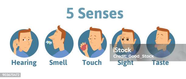Set Of Five Human Senses Icon Hearing Smell Touch Vision Taste Icons With Funny Man Character In Circles Vector Illustration For Kids Isolated On White Stock Illustration - Download Image Now