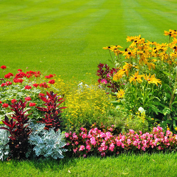 istock Summer flower bed and green lawn. 903675534