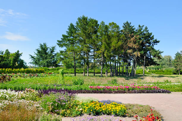 istock Summer park with beautiful flower beds. A bright sunny day. 903677086