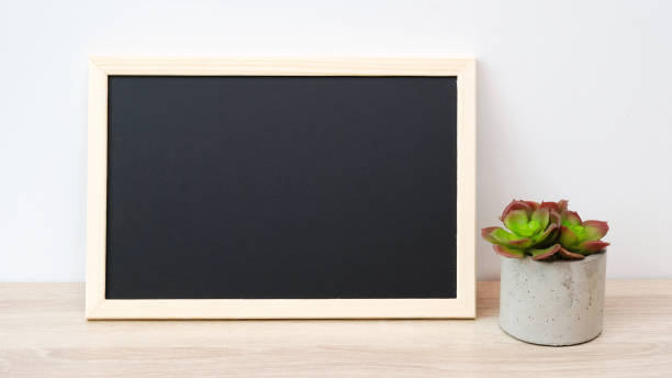 istock Blank chalkboard and succulent plant standing on wood table isolated on white background, banner, space for text, mock up, product display montage 903678810