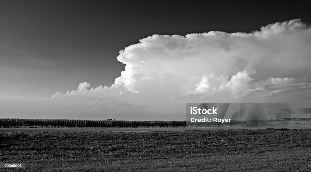 Campo e nuvole (monocromatiche - Foto stock royalty-free di Ambientazione esterna