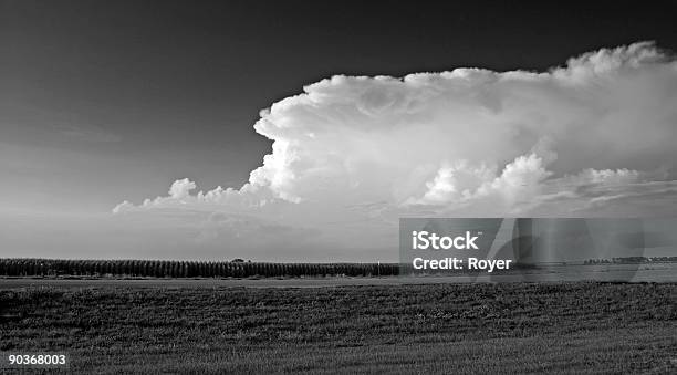 Campo E Nuvole Monocromatiche - Fotografie stock e altre immagini di Ambientazione esterna - Ambientazione esterna, Ambientazione tranquilla, Bianco