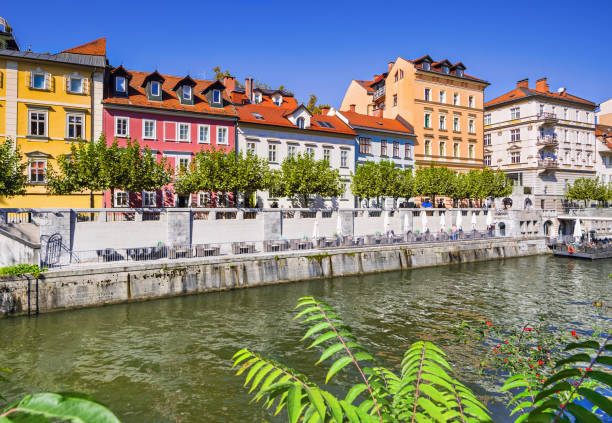 View of Ljubljana, capital of Slovenia Ljubljana city, famous Slovenian tourist destination ljubljana castle stock pictures, royalty-free photos & images