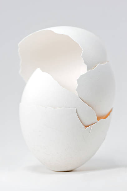 Baby Buggy Egg Shell Stack stock photo