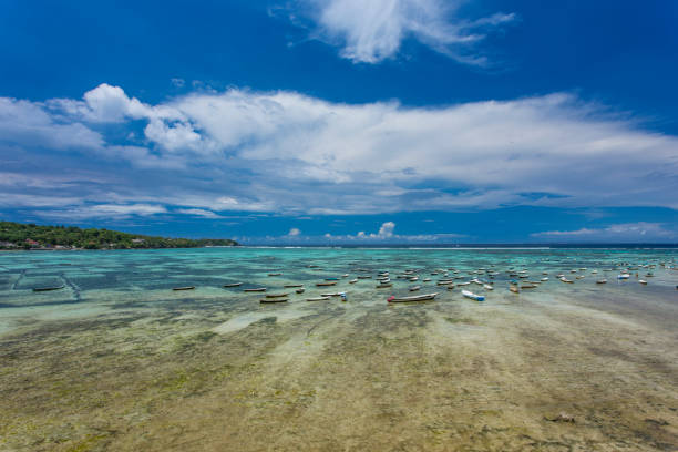 seaweed farming at nusa lembongan, bali - seaweed nusa lembongan seaweed farming water imagens e fotografias de stock