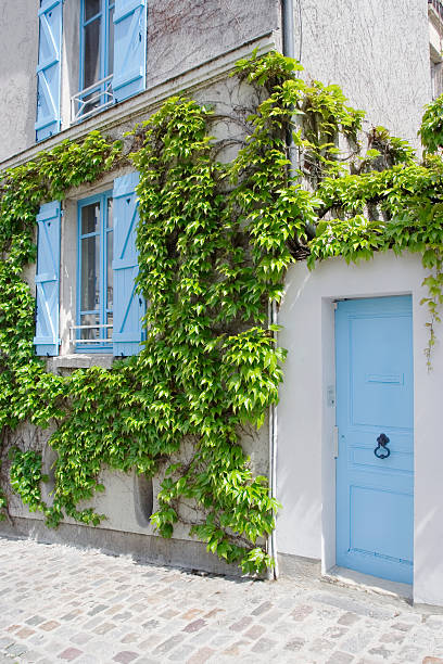 istock Door and Ivy 90369261