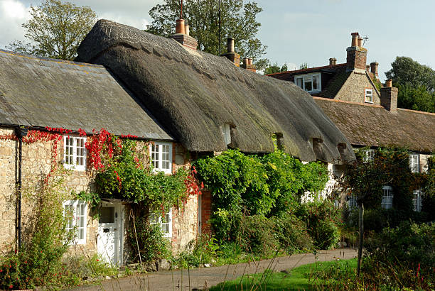 istock Winkle street buildings with ivy 90369326