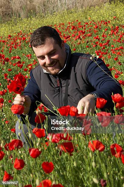 Hombre Joven En Un Campo De Amapolas Foto de stock y más banco de imágenes de Aire libre - Aire libre, Amapola - Planta, Campo - Tierra cultivada