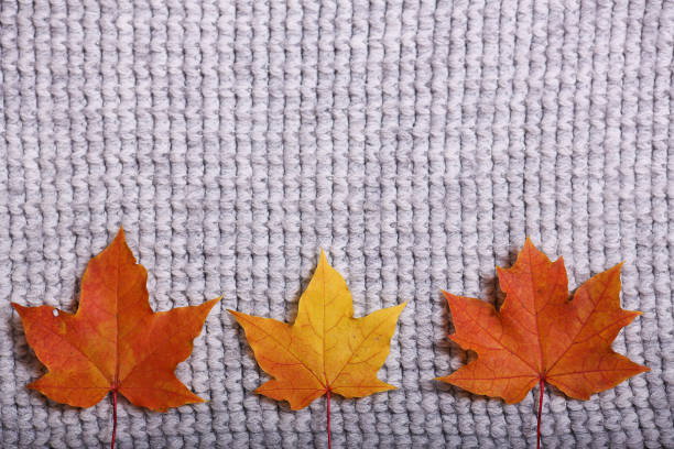 istock Autumn accessories knitted sweaters and leaves 903694736