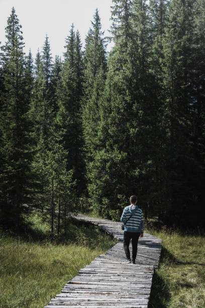istock Rear View Of Man Walking On Boardwalk In Forest 903695158