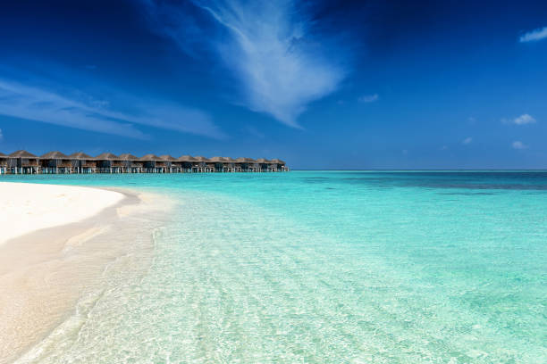 istock Beautiful, tropical beach in the Maldives 903697062