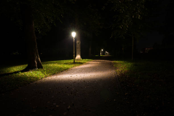 istock Night view of a dutch park and lightning lamp posts. 903701828