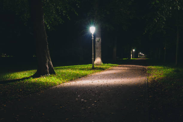 Visão noturna de um parque de holandês e lâmpada de relâmpago postagens. - foto de acervo