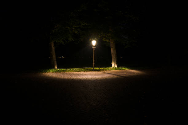 Visão noturna de um parque de holandês e lâmpada de relâmpago postagens. - foto de acervo