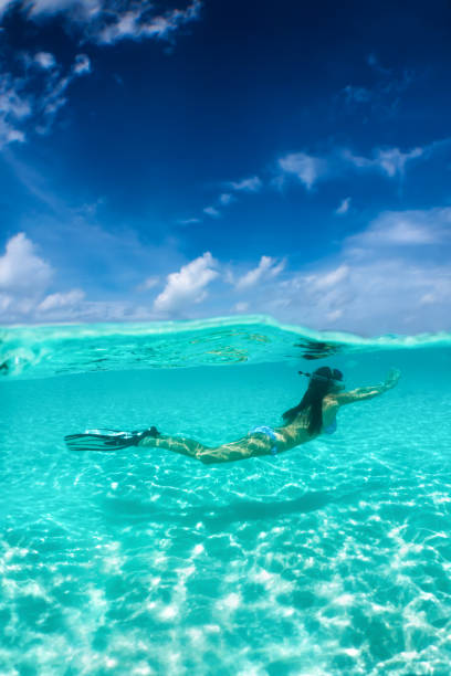 istock Attractive woman snorkeling in tropical waters 903702482