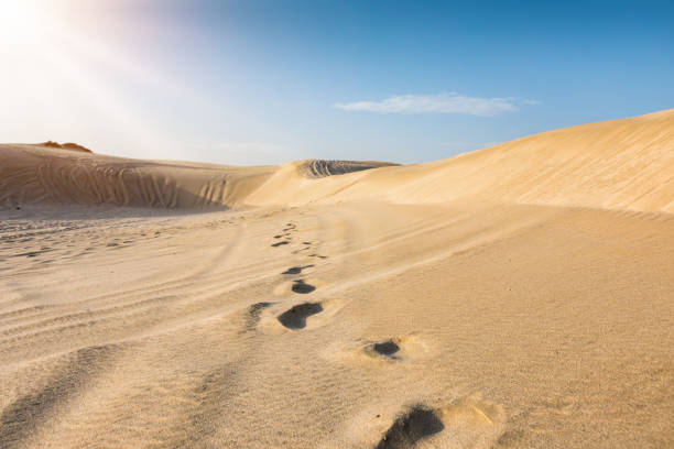 istock Footsteps in the desert of Qatar 903702730