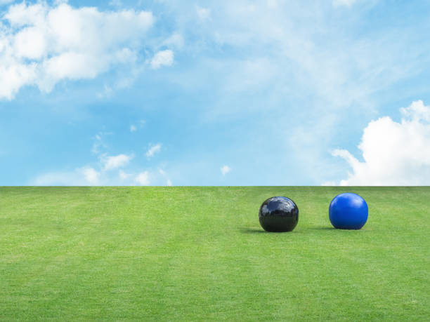 istock Raw picture for editing and more decoration, grass and sky for background image. 903703058