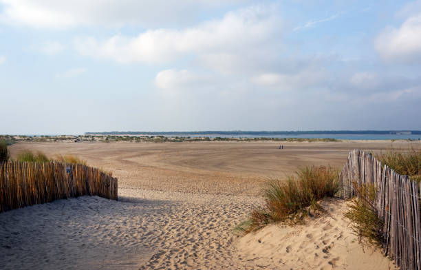 istock Sand dunes in Charente Maritime coast 903704054