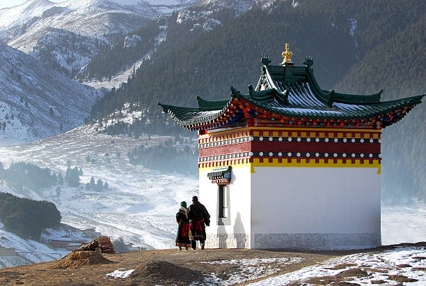 기도용 및 관자놀이 - tibet monk buddhism tibetan culture 뉴스 사진 이미지