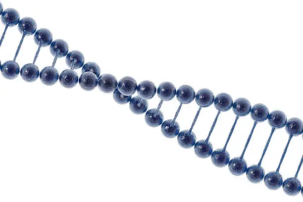 Photo of DNA Double helix I