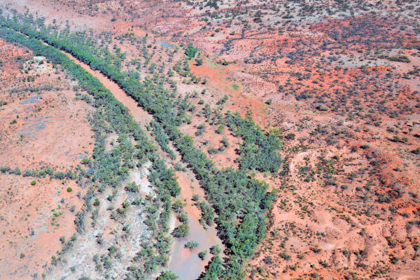istock Australia, Northern Territory, Outback 903712570