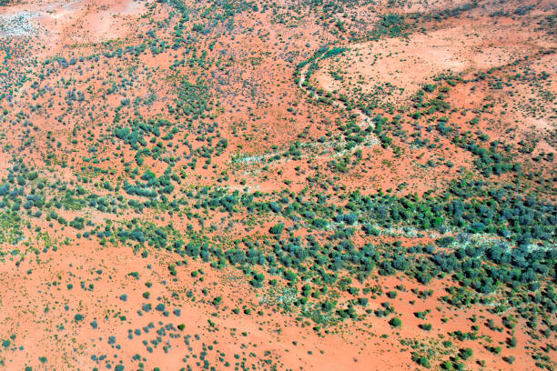 호주, 노던 테리토리, 아웃백 - australia outback landscape desert 뉴스 사진 이미지