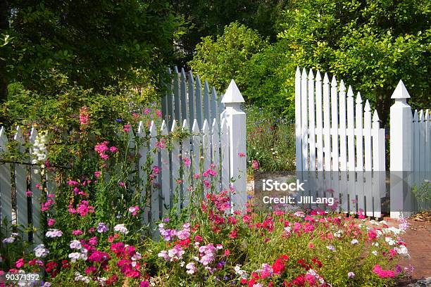 Beautiful Garden With Open White Gate Stock Photo - Download Image Now - Gate, Picket Fence, Ornamental Garden