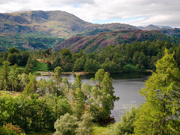 Tarn Hows, Lake District stock photo