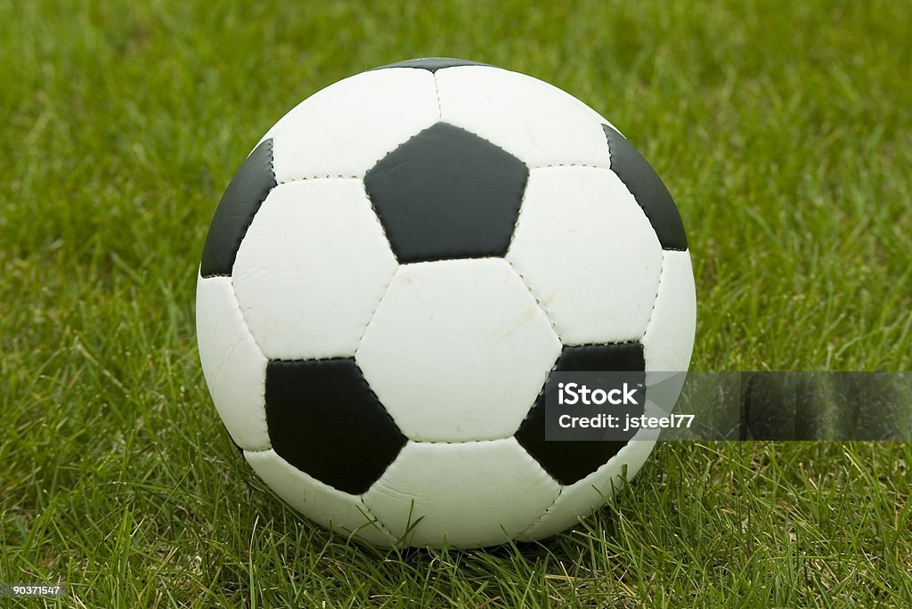 Soccer Ball on the grass  Color Image Stock Photo