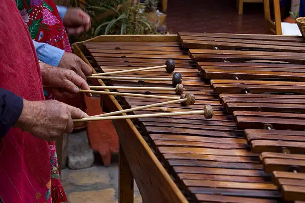 Photo of Marimba Players