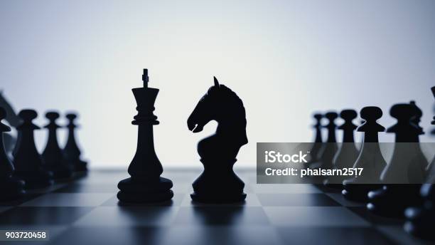 Confrontation Between The Horse And The Fattening Of Chess Stock Photo - Download Image Now