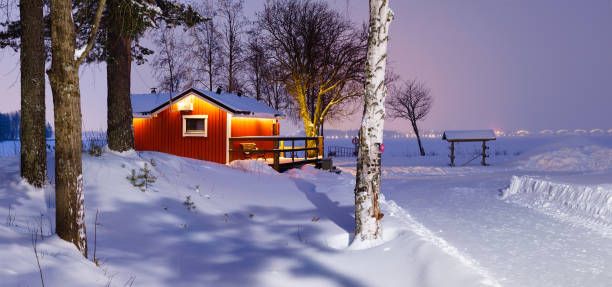 istock The Scandinavian winter landscape. 903720462