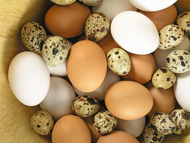 istock Variety of white, brown, and speckled eggs 90372541