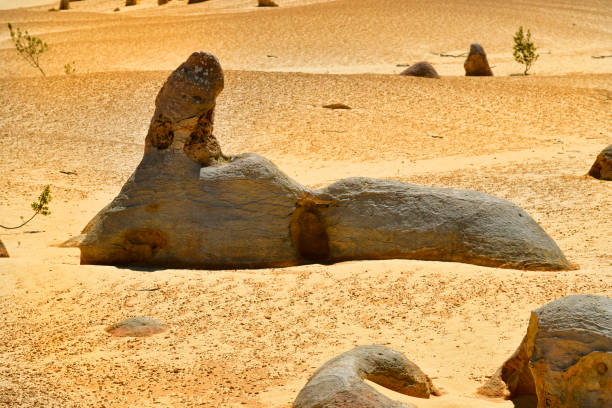 istock Australia, WA, The Pinnacles 903731570