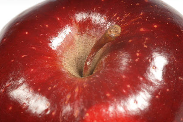 macro de manzana - macintosh apples fotos fotografías e imágenes de stock