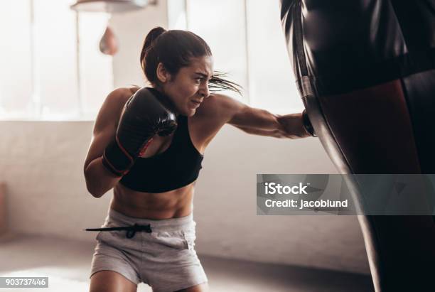 Female Boxer Training Inside A Boxing Ring Stock Photo - Download Image Now - Boxing - Sport, Women, Sport