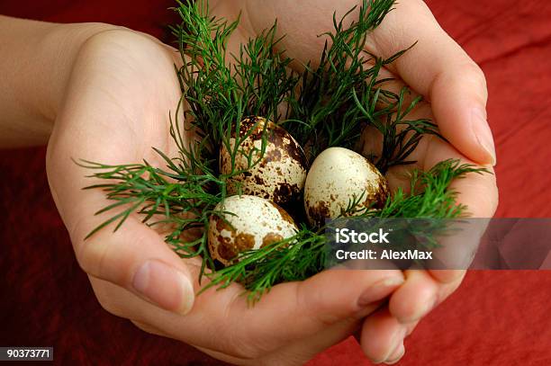 Foto de Ovos De Codorna E Verduras Em Mãos e mais fotos de stock de Adulto - Adulto, Alimentação Saudável, Branco