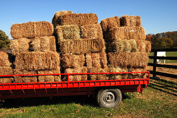 istock Bales of hay on flatbed truck 90373953