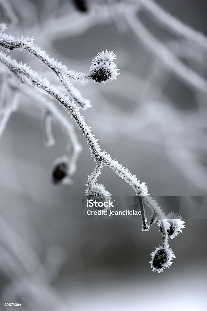 winter in scandinavia  Abstract Stock Photo