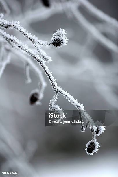 Winter In Scandinavia Stock Photo - Download Image Now - Abstract, Backgrounds, Beauty In Nature